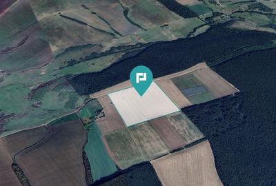 13ha de teren compact Ianova-Bencec - 2