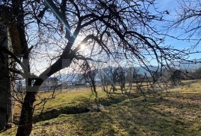 Casa de vanzare in Bistri?a-Bargaului cu 30 arii teren - 4