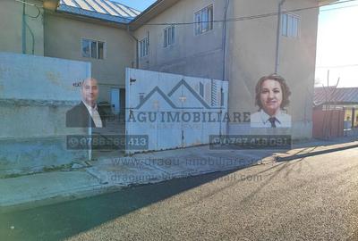 Spatiu Adjud/Ideal pentru activita?i de produc?ie sau ... - 1