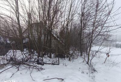 Casă cu 3 camere cu Teren 5000 Mp în Bălcăuți - 2