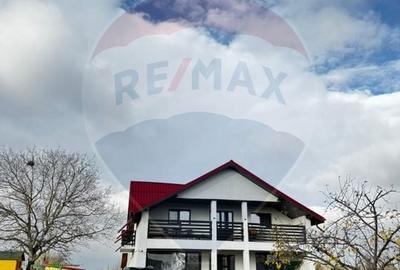 Vila cu 7 camere de vanzare+teren 2200 mp, Darza-Crevedia - 33