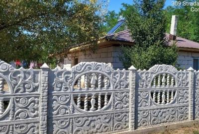 Casă cu 2 camere cu Teren 1286 Mp în Mânăstirea - 4