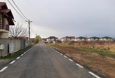 Domnesti, strada Radului - Mimozei, 1068mp - 4