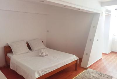 Garsoniera regim hotelier zona centrala - 2