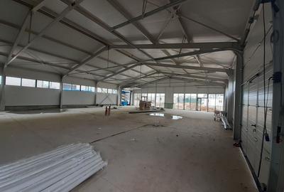 Spațiu industrial, de 300 mp, în Theodor Pallady - 1