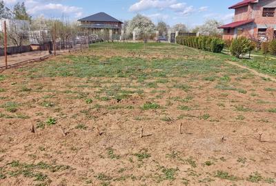 Teren de 1260 mp, în Snagov - 4