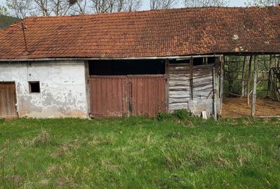 Casă cu 3 camere în Toplița - 3