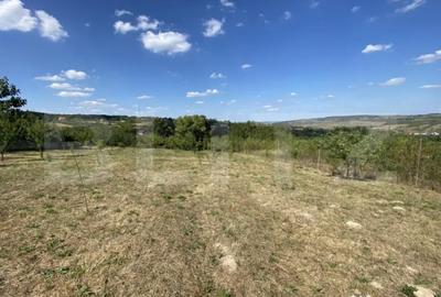 Teren de 1500 mp, în Aghireș - 2