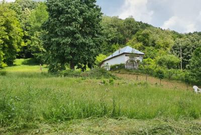 Teren de 7000 mp, în Ștubeie Tisa