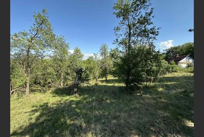 Teren Construcții intravilan de 17260 mp, în Calea Caransebeșului - 3