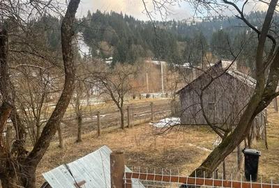 Casă cu Teren 22 Mp în Ilva Mare - 8