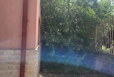 Casă cu 3 camere în Buziaș - 1