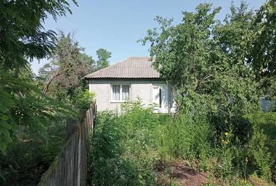 Casă cu 3 camere cu Teren 3850 Mp în Mitoc - 2