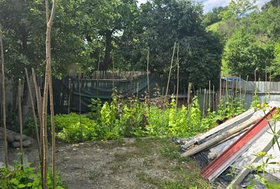 Casă individuală cu 3 camere cu Canalizare în Central - 7