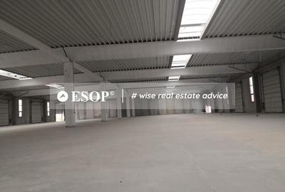 Hale industriale, parc modern, Rudeni, Chitila, Ilfov- ID 15462 Hale industriale, parc modern, Rudeni, Chitila, Ilfov- ID 15462 - 6