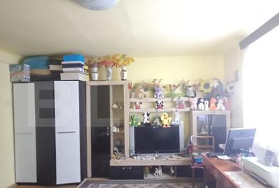 Casa renovabila, 2 camere, zona Cetate - 4