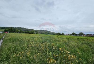 Teren de 1495 mp, în Dobreni - 5