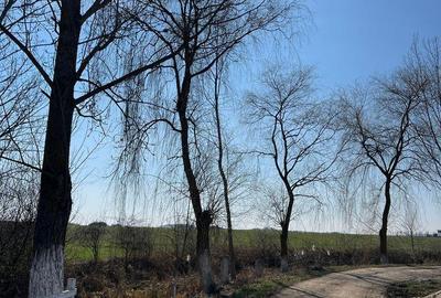 Casă cu 3 camere în Mădăras - 6