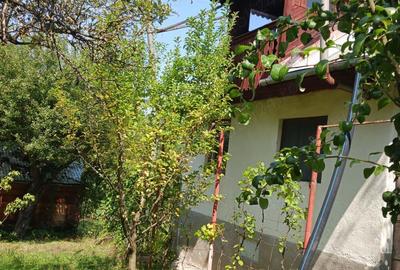 Proprietar-vand cabana cu livada teren mare-Stejeris-locatie deosebita - 6