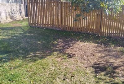 Valea Danului, Curtea de Arges - 4