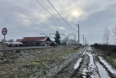 Teren de 26000 mp, în Inand - 11