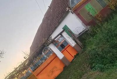 Casă cu 3 camere cu Teren 10000 Mp în Central - 10