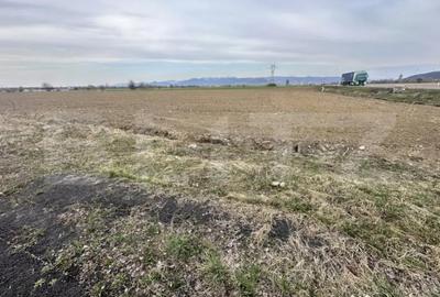 Teren în Central - 1