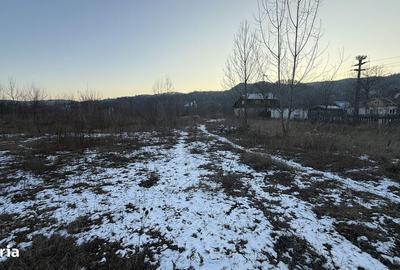 Teren de 10834 mp, în Dumbrăvești - 9