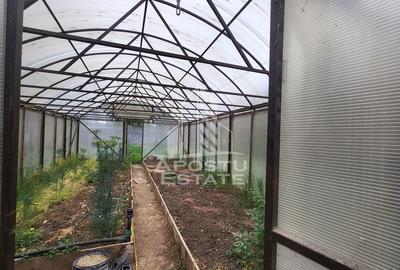 Casa individuala cu teren de 1431mp,zona Centrala Dumbravita Casa individuala cu teren de 1431mp,zona Centrala Dumbravita - 45