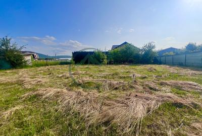 Teren Bod intravilan, Poiana Craitelor - 5