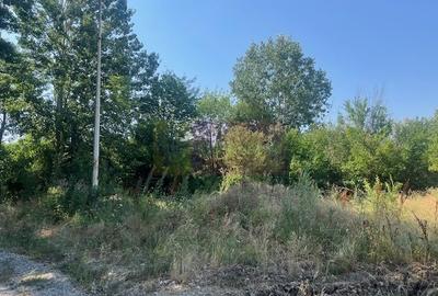 Teren Clinceni- Ordoreanu- langa Dig - 2