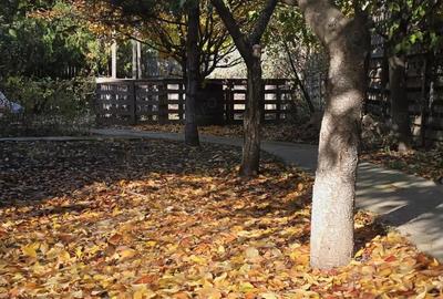 Exclusivitate! Proprietate Sendreni, zona linistita, 69.000 EUR - 17