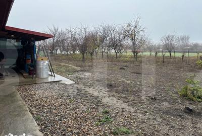 Casă cu 3 camere cu Teren 1400 Mp în Iratoșu - 10