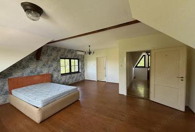 Casa cu piscina Pensiune Restaurant - Pe malul lacului din Paleu - IMOBIHOR - 4