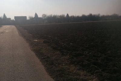 Teren de 7300 mp, în Ciorogârla - 6