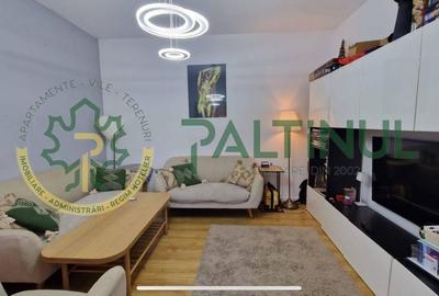 Casă modernă de închiriat în Sibiu – Cartierul Arhitectilor - 15