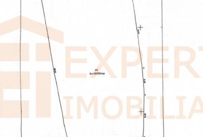 Teren Construcții extravilan de 18000 mp, în Valu lui Traian - 7