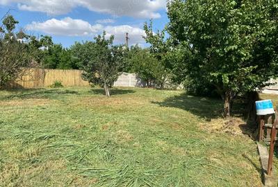 Casa + teren 2877 mp in Loc. Dolat, Com. Livezile direct de la proprietar! - 9