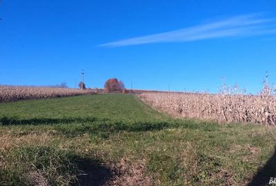 Vand teren de casa, intravilan, utilitati la poarta - 2