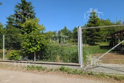 Teren pentru constructie casa in Faget - 4