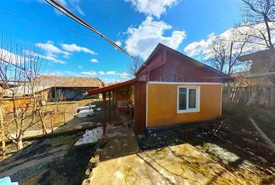 4.300 mp teren, pomicultura +casa traditionala, anexe, Craiesti, Mures: Tur 3D! - 14