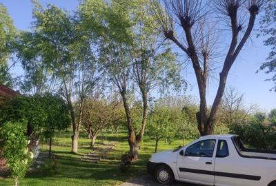 Casă individuală cu 5 camere cu Teren 3330 Mp în Central - 4