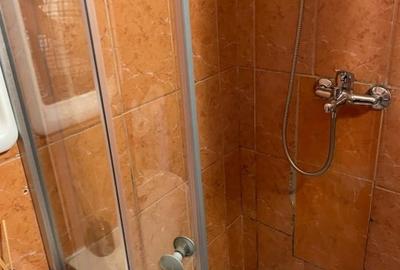 Apartament cu o camera - 5