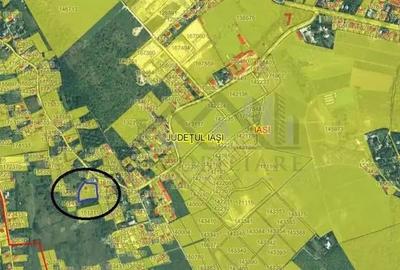 Viticultori Copou teren 4000mp (6loturi)cu Puz realizat Viticultori Copou teren 4000mp (6loturi)cu Puz realizat - 2