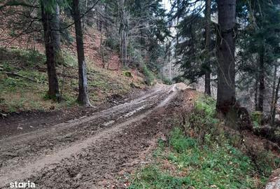 Teren de 2500 mp, în Central - 3