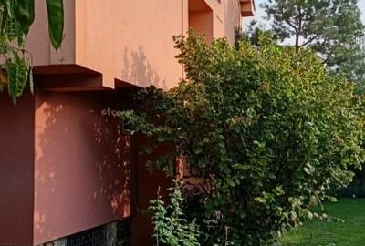 Vând duplex