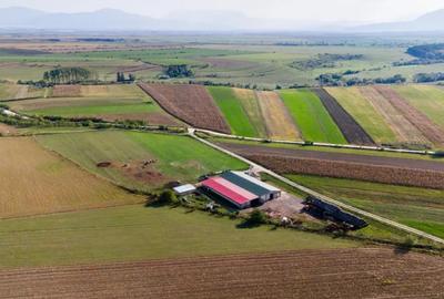 Teren de 18000 mp, în Rotbav - 11