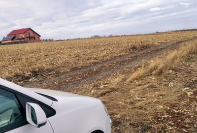 Păcurari-Platou Beldiman ( LA STEJARI SECULARI ) 490 mp , oportunitate reala - 23