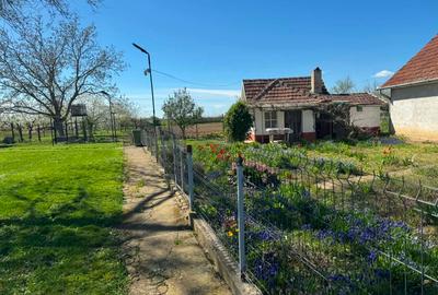 Casă individuală cu 3 camere cu Teren 2600 Mp în Central - 5