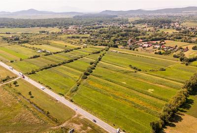 Teren extravilan Lunca Calnicului langa E574 - 6